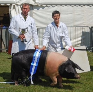 Oaklands Pigs Heathfield Champion